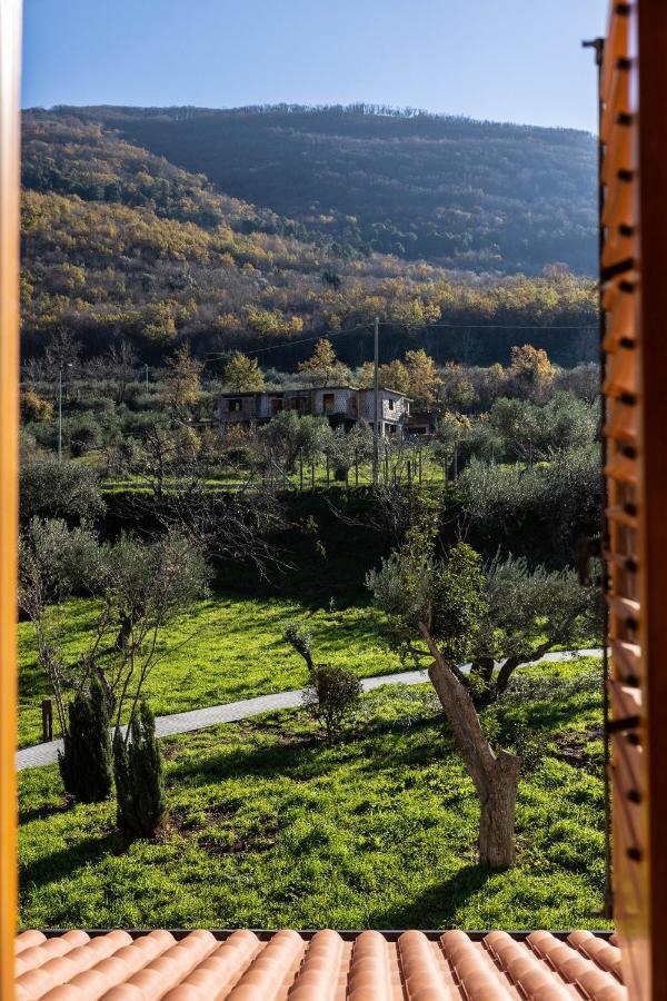 Tenuta Pascarella Bed & Breakfast Bed and Breakfast Frasso Telesino Exterior foto